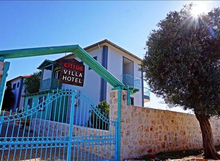 Отель Citrus Villa Hotel