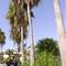 Отель Apartamentos Puerto Caleta