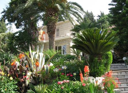 Отель Guest House Villa Nina