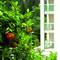 Отель Dubrovnik Luxury Residence – L’Orangerie