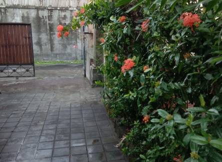 Отель Loven Sanur Guest House