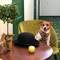Отель Apple Dream Hotel