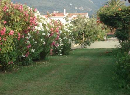 Отель Feeloxenia Corfu Harris Apartments