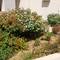 Отель Carisa Maleme, Maleme