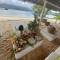 Отель Pineapple Beach Villas