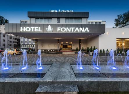 Отель Hotel Fontana