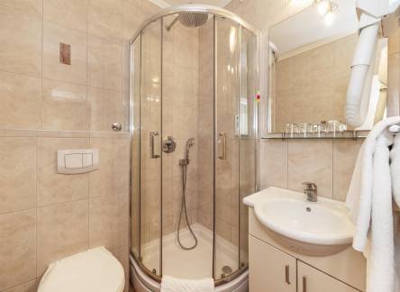 Отель Hotel Omorika Aneks