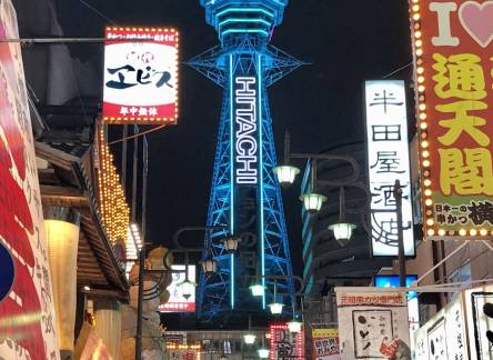 Отель Hotel Elsereine Osaka