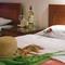 Отель Hotel Rodon