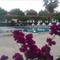 Отель More Beach Hotel