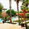 Отель More Beach Hotel