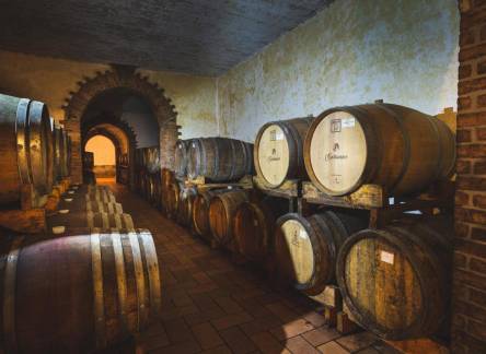 Отель Wine Residence Cattunar