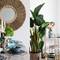 Отель Spacious & Ornate 1BR Apt In Jaddaf Waterfront