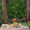 Отель Park Inn by Radisson Goa Candolim