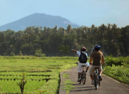 Отель FuramaXclusive Resort & Villas Ubud