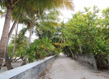 Отель Kuri Inn Guest House, Omadhoo