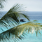 Отель The Manta Resort