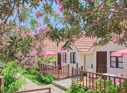 Отель Clover Magic Nova Beach Hotel