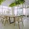 Отель Zoya Health & Wellbeing Resort