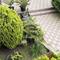 Отель Гостевой дом Робинзон