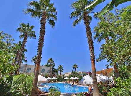 Отель Mandarin Resort