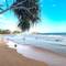 Отель Dream Palace Family Guest House