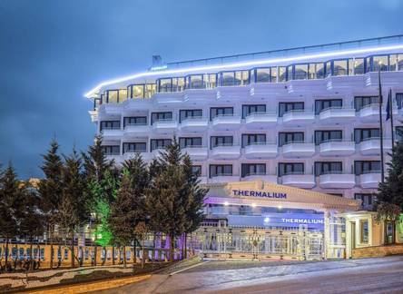 Отель Thermalium Wellness & Spa Hotel by Vima