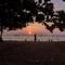 Отель Wyndham Royal Lee Phuket