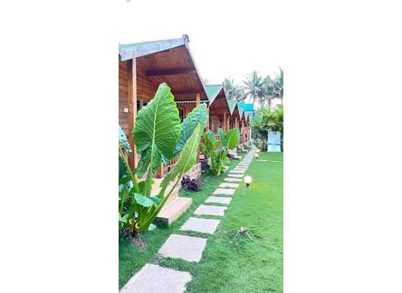 Отель TP Beach Resort