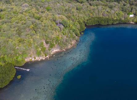 Отель Menjangan Ecolodge