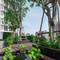 Отель Wyndham Garden Bangkok Sukhumvit 42