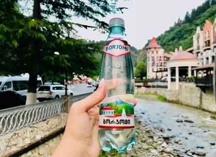 Отель Holiday Borjomi