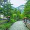 Отель Holiday Borjomi