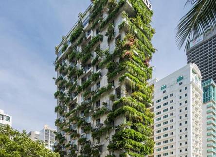 Отель Chicland Hotel Danang