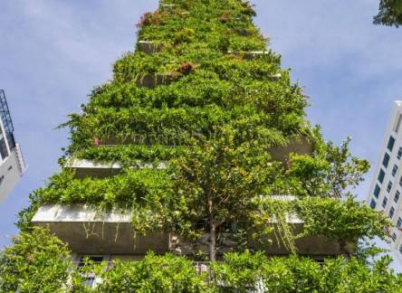 Отель Chicland Hotel Danang