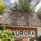 Отель Aurora Boutique Hotel Jambiani