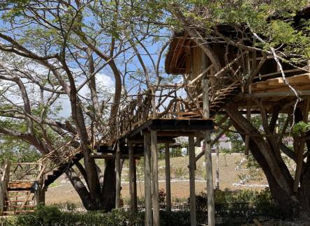 Отель Antonio Beach Tree House Hotel & Spa