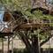 Отель Antonio Beach Tree House Hotel & Spa