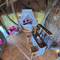 Отель Antonio Beach Tree House Hotel & Spa
