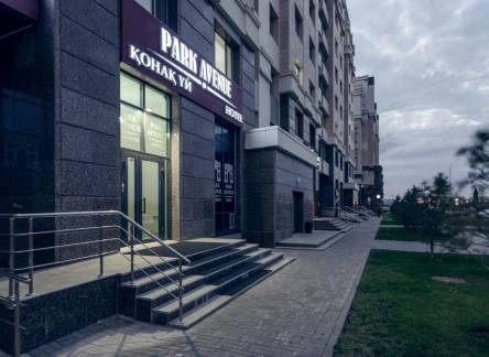 Отель Hotel Park Avenue