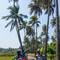Отель Fairfield by Marriott Goa Calangute