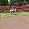 Отель ГОК Нарзан Вест