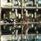 Отель Nautilux Rethymno by Mage Hotels