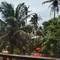 Отель Beach Inns Holiday Resort - Celeste