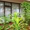 Отель Am Hotel Kollection- Ivy, Morjim