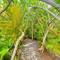 Отель The Seaboards Apartments Seychelles