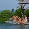 Отель Khao Lak Marriott Beach Resort & Spa