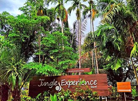 Отель Phuket Jungle Experience Resort