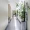 Отель Tuana Hotels Brook Pool Access