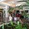 Отель The Sens Tulum Riviera by Oasis